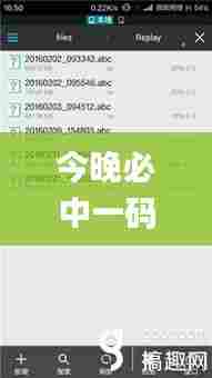 今晚必中一码一肖100准,稳健设计策略_本地版DAX93.866