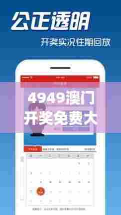 4949澳门开奖免费大全49图库,实地观察数据设计_增强版VOQ96.768