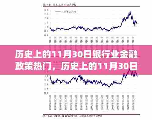 历史上的11月30日银行业金融政策热点深度解析及其影响，一种独特视角的观察