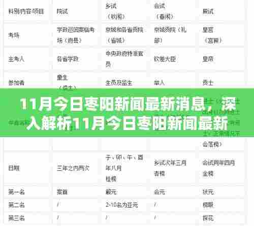 11月枣阳新闻最新消息解析，特性、体验、竞品对比及用户群体深度分析