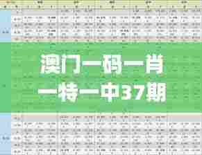 澳门一码一肖一特一中37期,统计信息解析说明_任务版LVP57.819