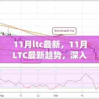 深度解读，11月LTC最新趋势与观点阐述