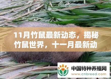 初遇在故事开头 第4页