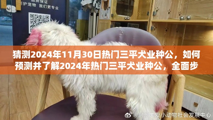 全面步骤指南,预测并了解2024年热门三平犬业种公的选择与趋势分析