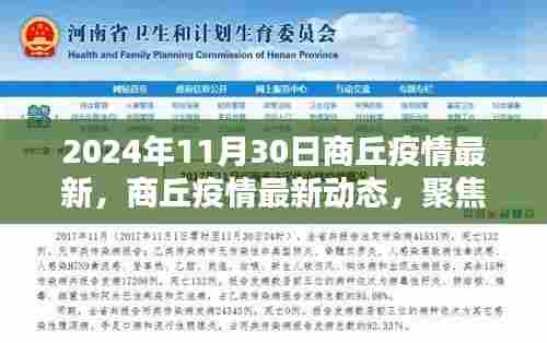 聚焦商丘疫情最新动态,2024年11月30日最新消息