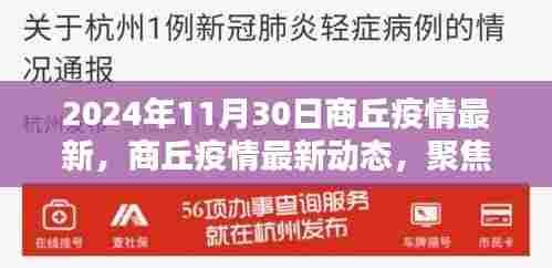 聚焦商丘疫情最新动态,2024年11月30日最新消息