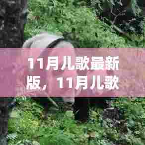 11月儿歌最新版,自然之旅的轻松序曲,寻找内心的宁静与平和