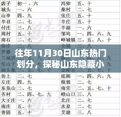 山东隐藏小巷的独特小店,往年热门划分的探秘之旅