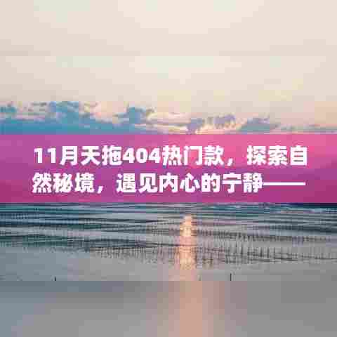 天拖404热门款，一月心灵之旅，探索自然秘境，邂逅内心宁静