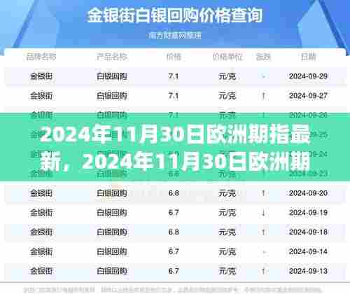 2024年11月30日欧洲期指最新动态及市场走势分析与预测