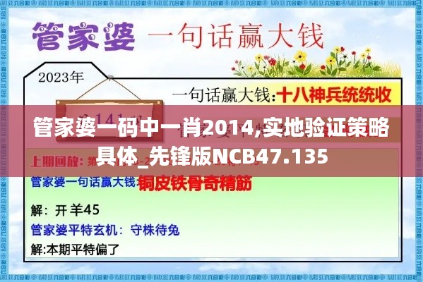 管家婆一码中一肖2014,实地验证策略具体_先锋版NCB47.135