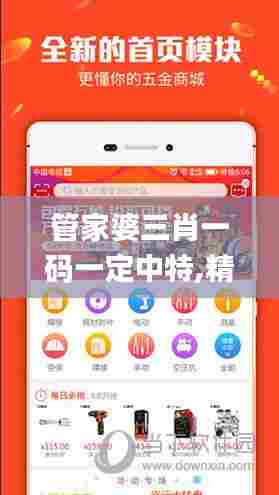 管家婆三肖一码一定中特,精细化实施分析_光辉版VJK71.865