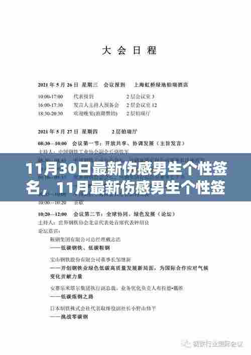 情感深处的独白与共鸣,最新伤感男生个性签名