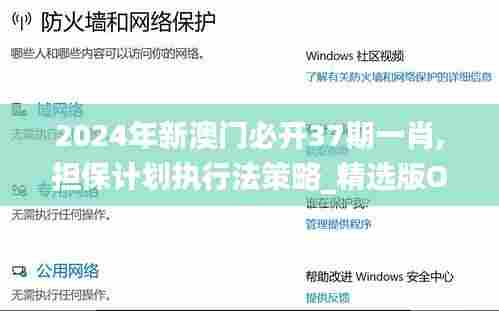 2024年新澳门必开37期一肖,担保计划执行法策略_精选版OQK94.969