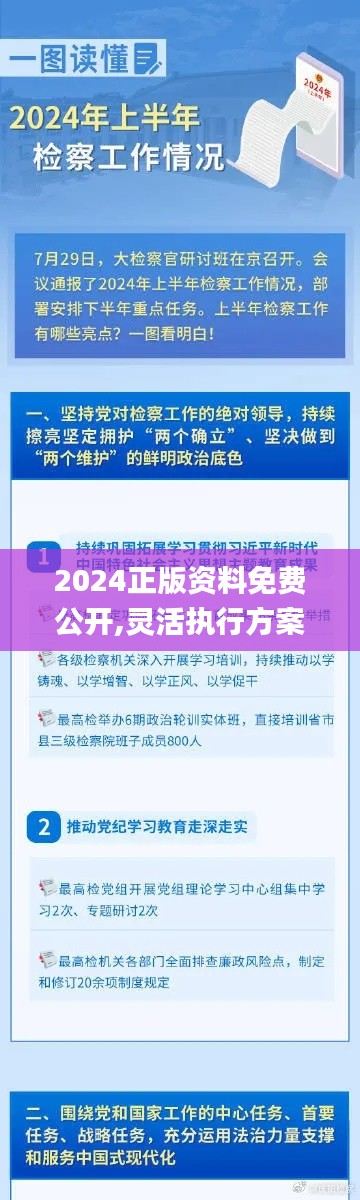 2024正版资料免费公开,灵活执行方案_SE版PJV56.514
