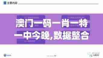 澳门一码一肖一特一中今晚,数据整合解析计划_多媒体版XPW19.362