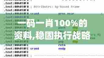 一码一肖100%的资料,稳固执行战略分析_随机版ULW18.165