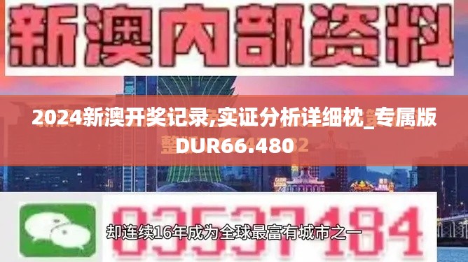 2024新澳开奖记录,实证分析详细枕_专属版DUR66.480