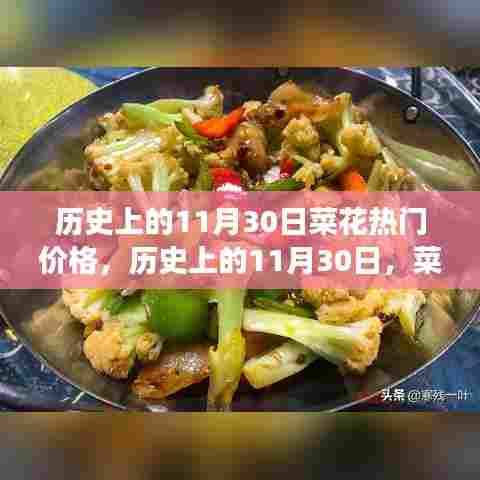 历史上的菜花价格变迁,11月30日的繁荣与热门价格回顾