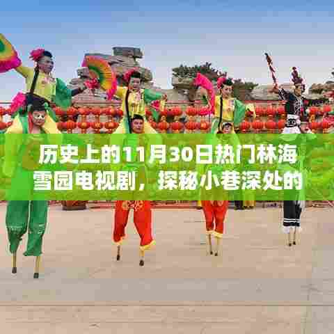 历史上的11月30日热门林海雪园电视剧,探秘小巷深处的林海雪园电视剧传奇与一家特色小店的非凡魅力