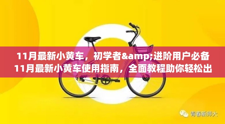 11月最新小黄车全面教程,初学者到进阶用户的必备指南