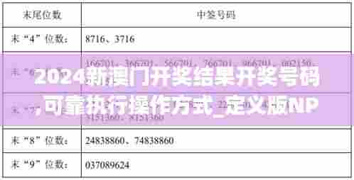 2024新澳门开奖结果开奖号码,可靠执行操作方式_定义版NPN74.383
