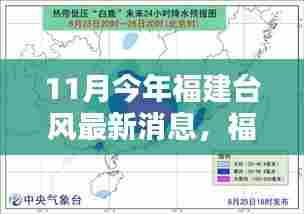 福建台风最新消息,温馨日常与美好时光