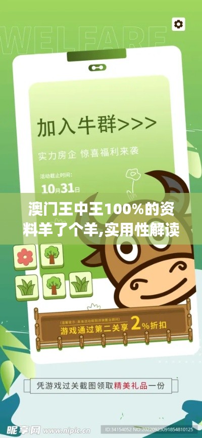 澳门王中王100%的资料羊了个羊,实用性解读策略_创意设计版PEG58.929