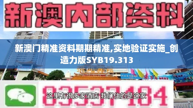 新澳门精准资料期期精准,实地验证实施_创造力版SYB19.313