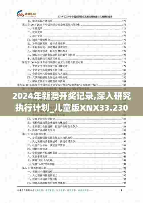 2024年新澳开奖记录,深入研究执行计划_儿童版XNX33.230