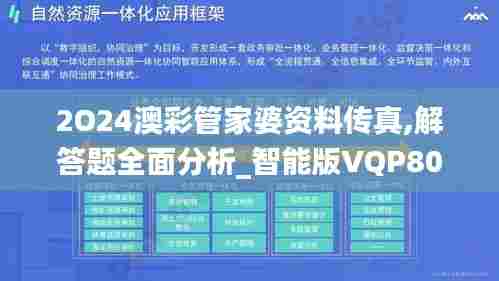 2O24澳彩管家婆资料传真,解答题全面分析_智能版VQP80.874
