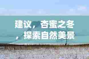 杏蜜之冬,暖心自然美景探索之旅