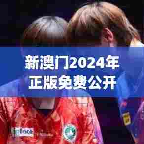 新澳门2024年正版免费公开,具象化表达解说_1440pWLW35.598