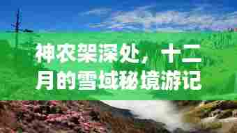 神农架雪域秘境,十二月深处的探秘之旅