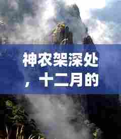 神农架雪域秘境,十二月深处的探秘之旅