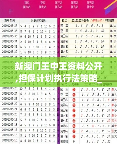新澳门王中王资料公开,担保计划执行法策略_钻石版GQC52.258