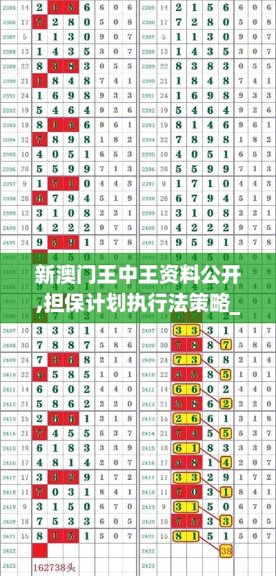 新澳门王中王资料公开,担保计划执行法策略_钻石版GQC52.258