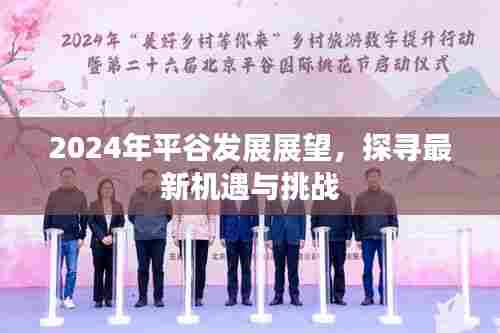 贵不可言 第4页