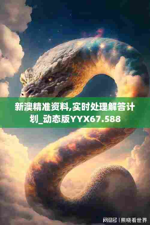 新澳精准资料,实时处理解答计划_动态版YYX67.588