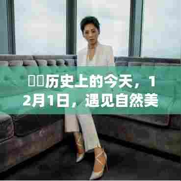 历史上的今天遇见自然美景的模特之旅,探寻内心的宁静与平和之路(12月1日)