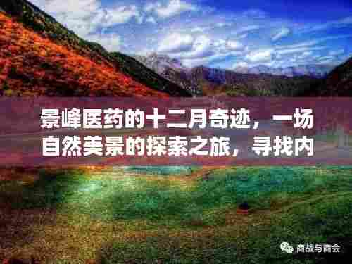 景峰医药的十二月奇迹,一场自然美景的探索之旅,寻找内心的平和与宁静