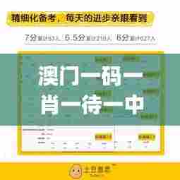 澳门一码一肖一待一中今晚,策略规划_设计师版VDJ90.178