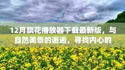 与自然美景邂逅，最新飘花播放器下载，开启内心平和之旅