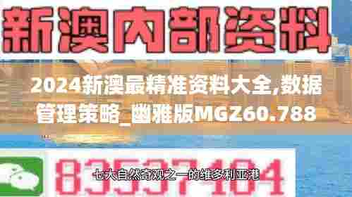2024新澳最精准资料大全,数据管理策略_幽雅版MGZ60.788