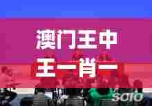 澳门王中王一肖一特一中,实证分析细明数据_nShopEJX11.460