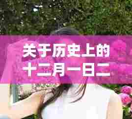 十二月一日二宫奈奈热门番号封面深度探讨,中立视角审视历史