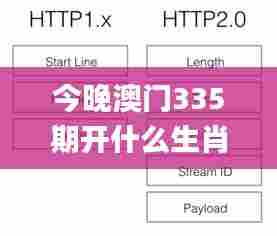 今晚澳门335期开什么生肖,现代化解析定义_VCJ74.228模块版