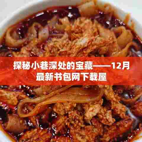 探秘小巷深处的宝藏，最新书包网下载屋揭秘（12月更新）