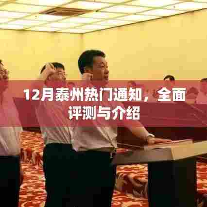 12月泰州热门通知详解,全面评测与介绍
