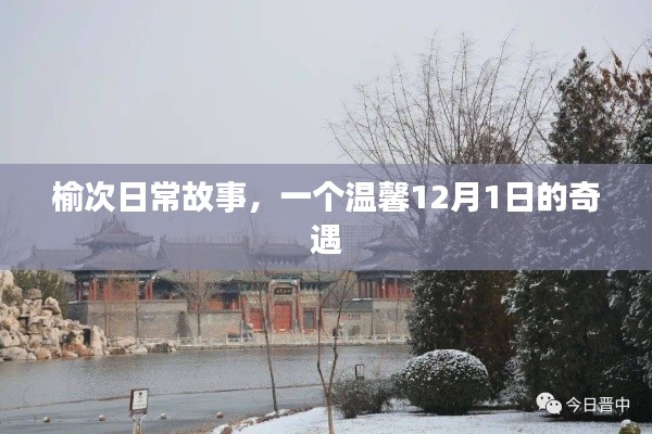榆次温馨奇遇，12月1日的日常故事